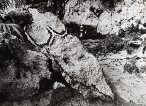 Ana Mendieta