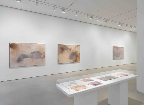 Daniel Lefcourt, Terraform installation view