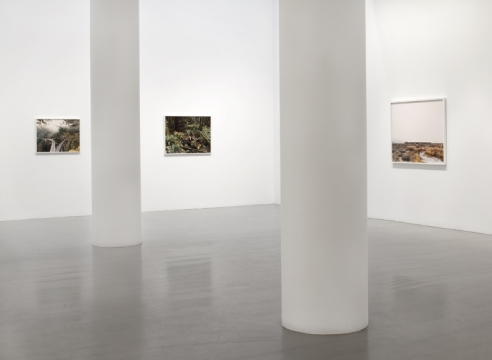 Justine Kurland
