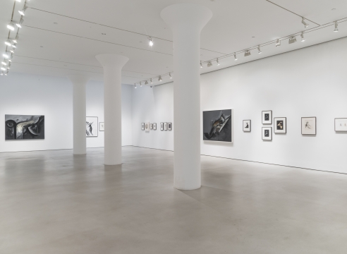Jay DeFeo