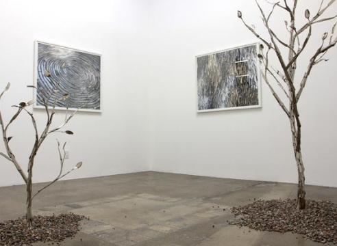 Jean Shin