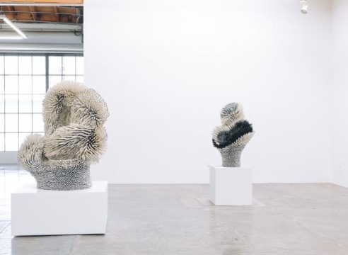 Zemer Peled