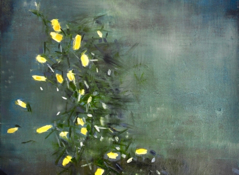 Jane Ansell