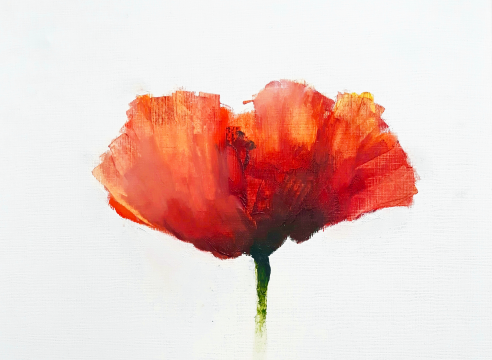 Gareth Edwards RWA NSA