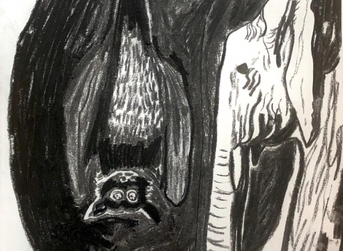 The Long Conversation, by Stephanie Barber & Xav Leplae