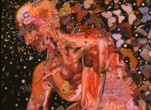 Fred Tomaselli