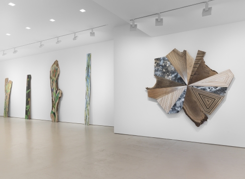 JASON MIDDLEBROOK