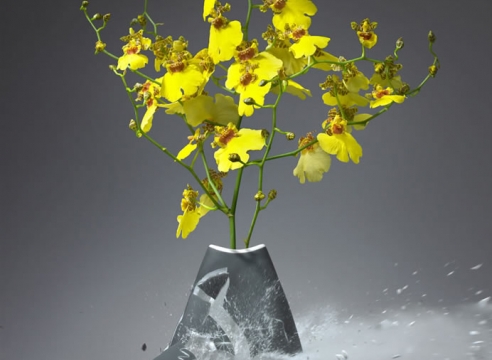 New Flowers (revisited)