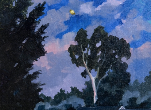 Robin Gowen