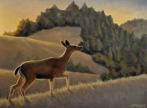 Jon Francis