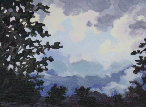 Robin Gowen