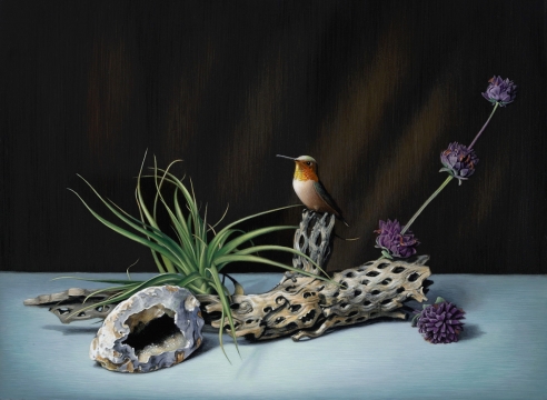 Susan McDonnell