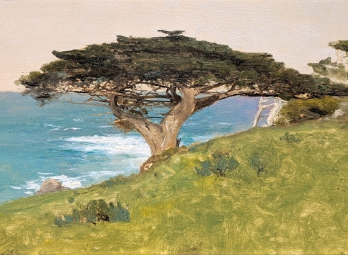 LOCKWOOD DE FOREST (1850-1932), "Point Lobos" Veteran Tree (Monterey), January 29, 1911