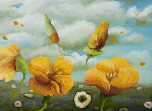 Phoebe Brunner