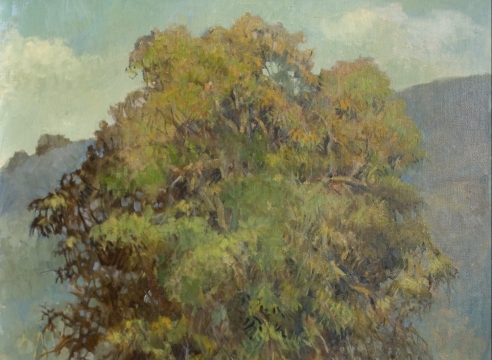 MEREDITH BROOKS ABBOTT, The Eucalyptus, 2019