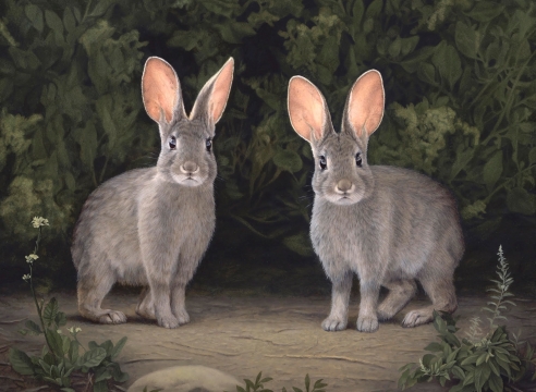 SUSAN MCDONNELL, Marsh Hares, 2020