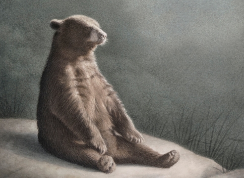 SUSAN MCDONNELL, Buddha Bear, 2019