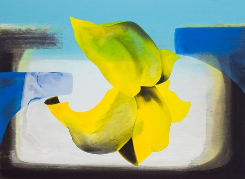 MARIA RENDÓN, Mirror Mirror, 2020