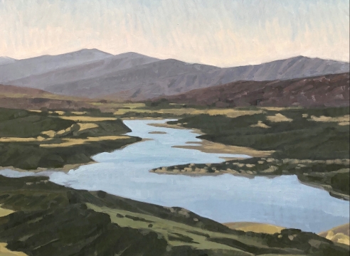 Lake Cachuma Aerial painting by Nicole Strasburg