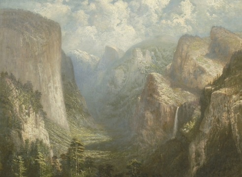 THE LANDSCAPE