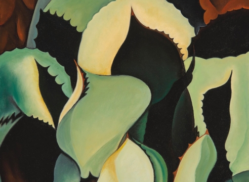 ANGELA PERKO, Shadowplay, 2015