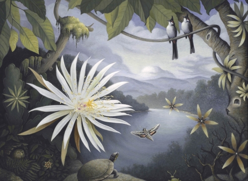 Susan McDonnell