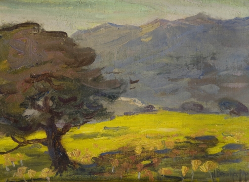 Nell Brooker Mayhew (1875-1940)