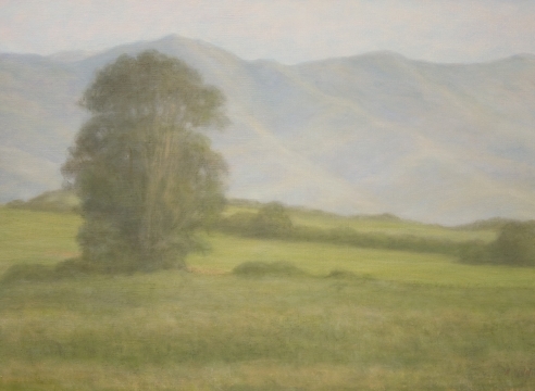Sarah Vedder, Spring Green