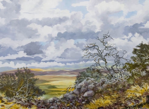 Robin Gowen