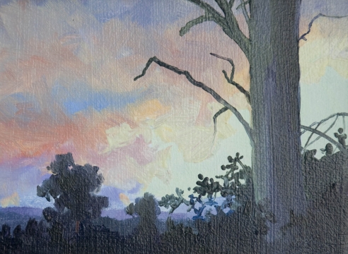 Robin Gowen