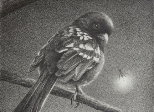 SUSAN MCDONNELL, Towhee and Firefly, 2020