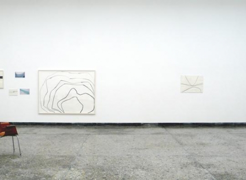 Silvia Bachli: The Swiss Pavilion at the 53rd International Art Exhibition