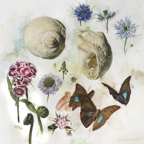 Image of Jeffrey Ripple's "Shells, Butterflies, and Flowers" Oil on panel, 12 by 12 inches, painted in 2018.