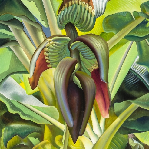 ROSS EUGENE BRAUGHT (1898–1983), Banana Tree, 1937. Oil on canvas, 43 x 43 in. (detail).