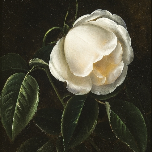 Johan Laurentz Jensen (1800–1856)
