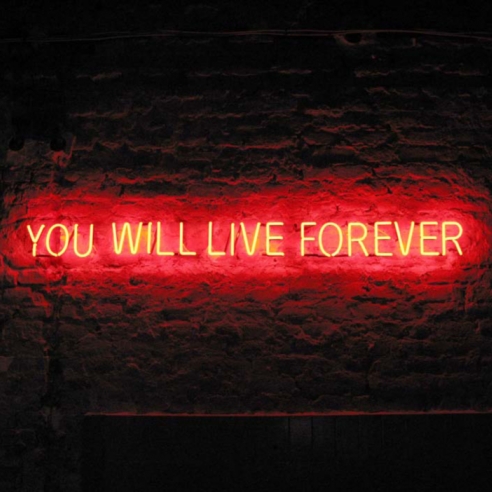 Tim Etchells