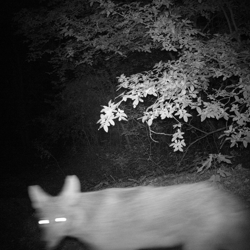 Altering Nature: Pictures of a Changing Environment
