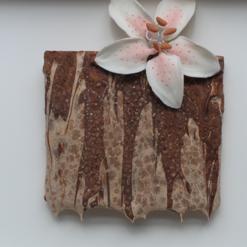 Homade Chocolate Covered Sex Polaroids