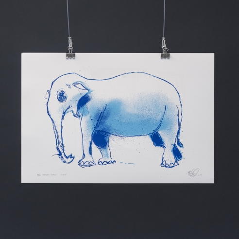 Elefanten I Rommet (The Elephant in The Room)