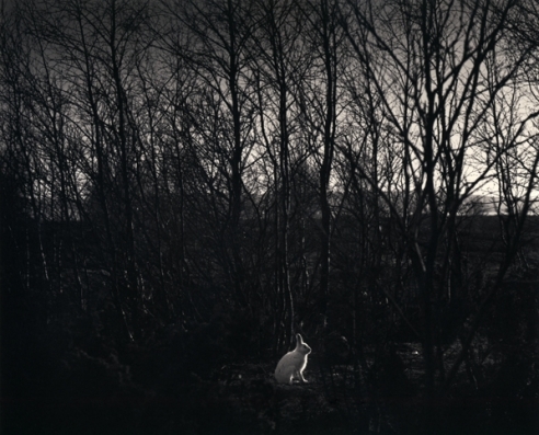 Pentti Sammallahti