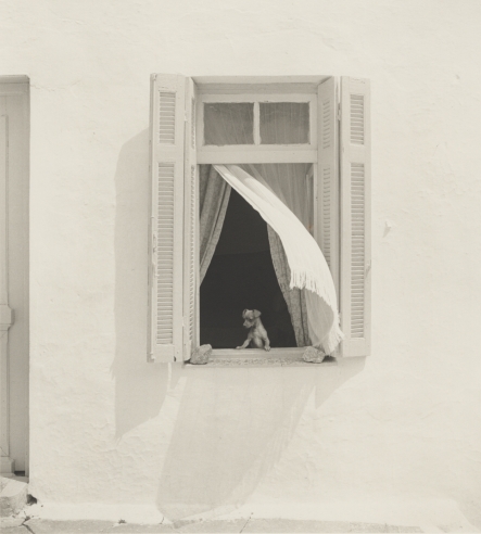Pentti Sammallahti: Summertime