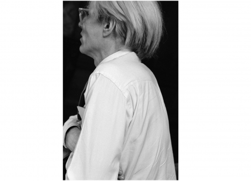Warhol portrait
