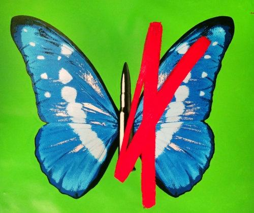Rubem Robierb: Bullets and Butterflies