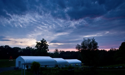 Artfarm