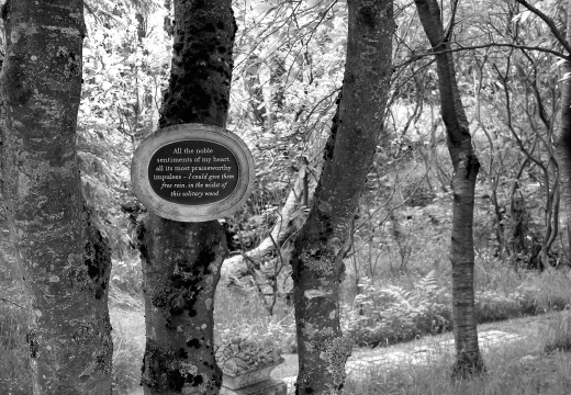 Ian Hamilton Finlay: "The garden became my study"