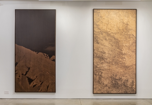 Clifford Ross: Prints on Wood