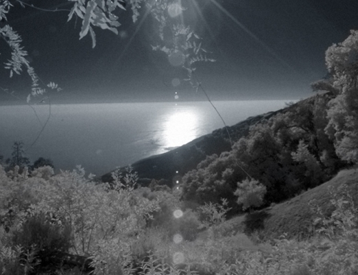 Lou Reed: Romanticism