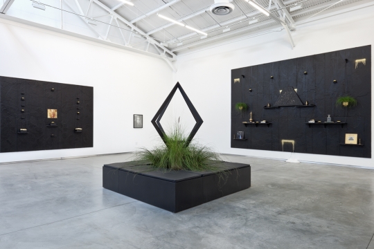 Rashid Johnson
