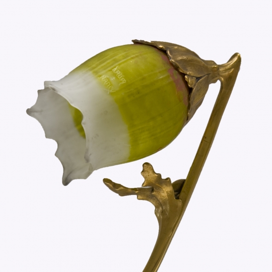 Algae Desk Lamp