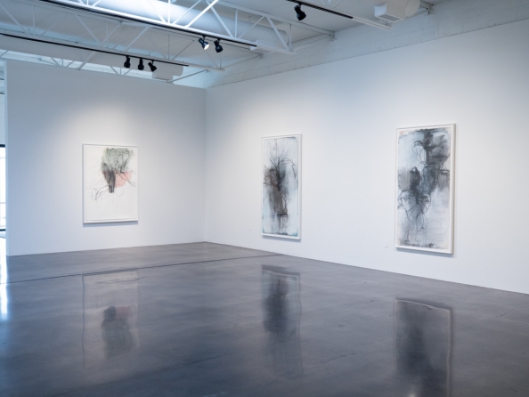 Andrea Rosenberg - New Painting and Drawings